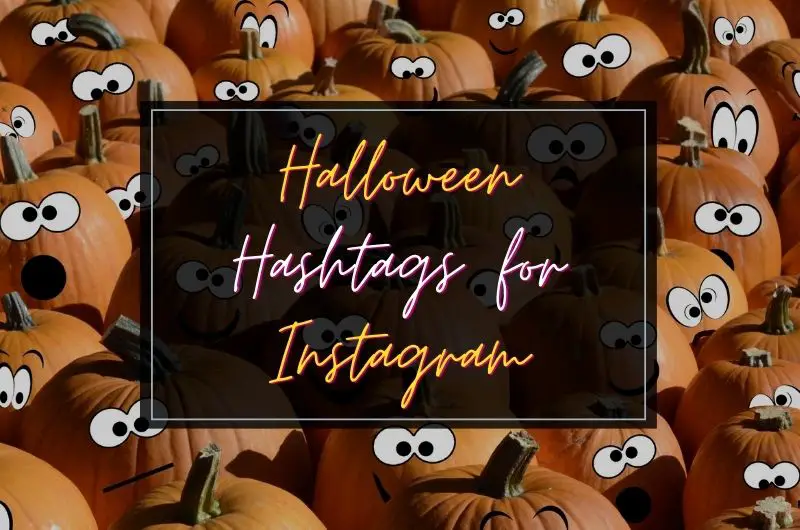 Halloween Hashtags for Instagram