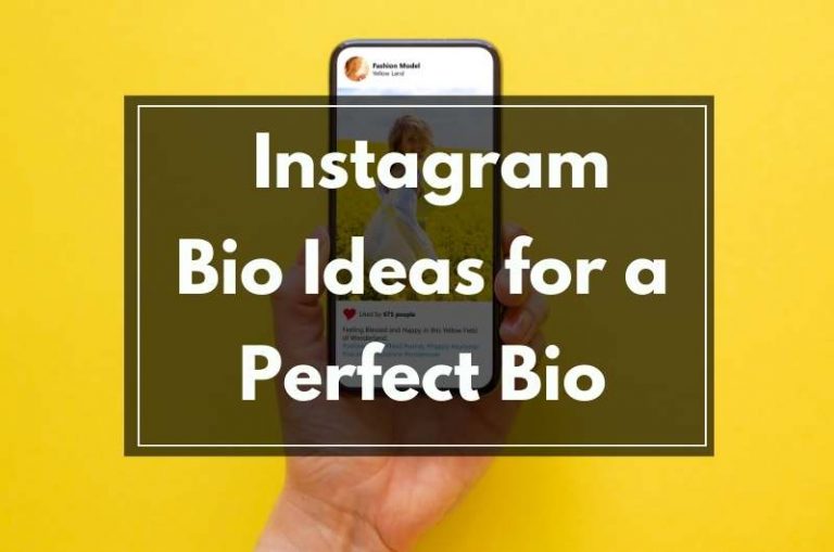 instagram bio ideas for a perfect bio