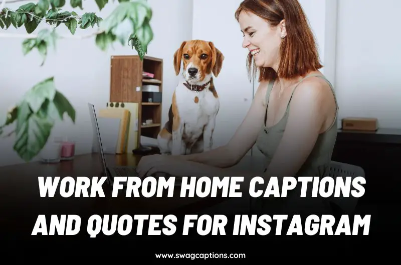Work from Home Captions and Quotes for Instagram