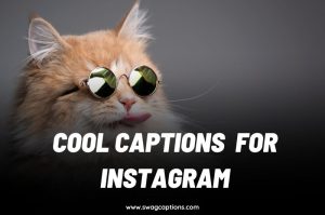 Best Classy Captions And Quotes Instagram Pictures In 2024