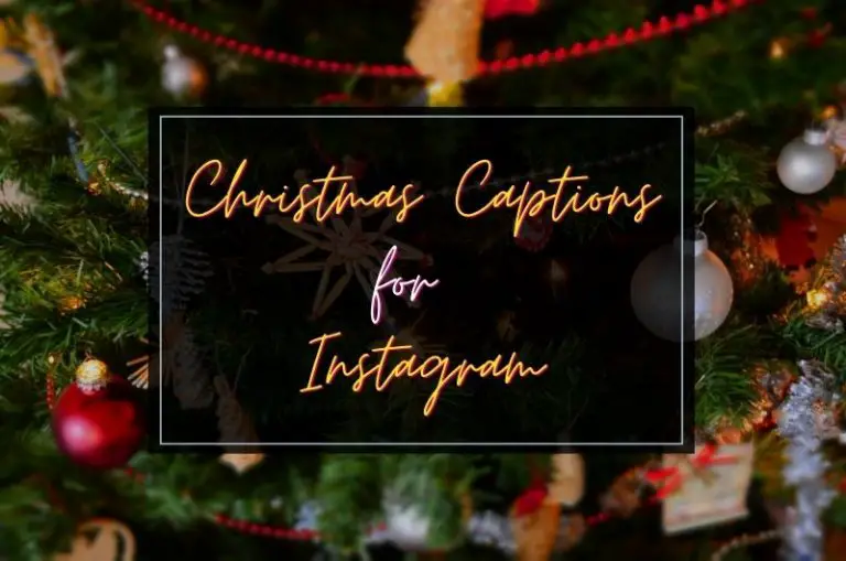 200+ Best Christmas Captions & Quotes For Instagram In 2024