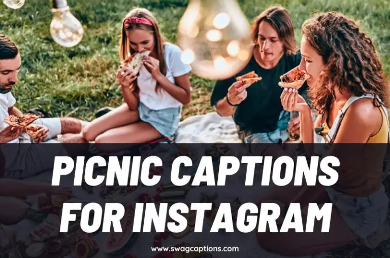 Picnic Captions and Quotes for Instagram