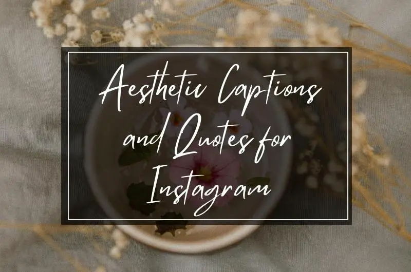 Aesthetic Captions and Quotes for Instagram