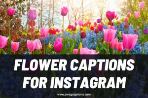 150+ BEST Flower Captions And Quotes For Instagram In 2024