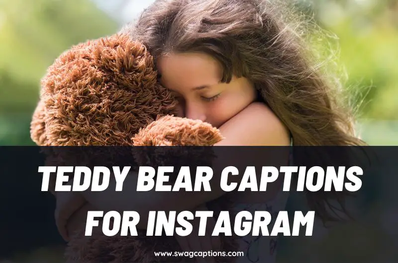 Teddy Bear Captions and Quotes for Instagram