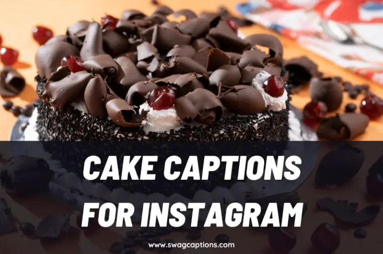 Cake Captions and Quotes for Instagram