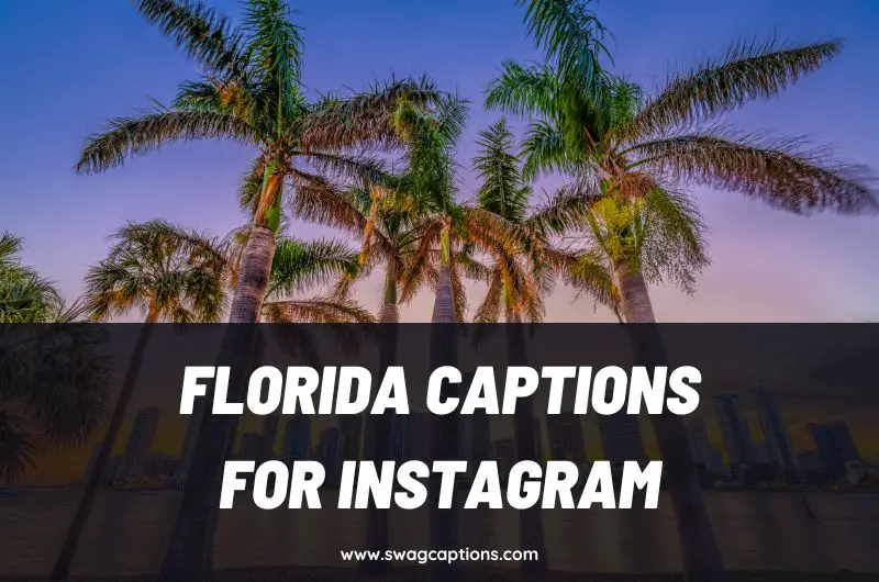 Florida Captions and Quotes for Instagram