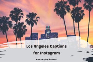 BEST Jaipur Captions And Quotes For Instagram Pics In 2024