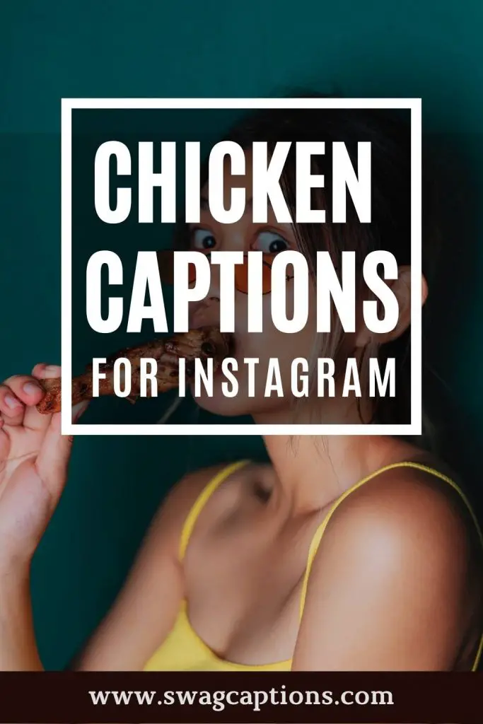 Chicken Captions For Instagram