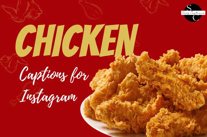 Chicken captions for Instagram