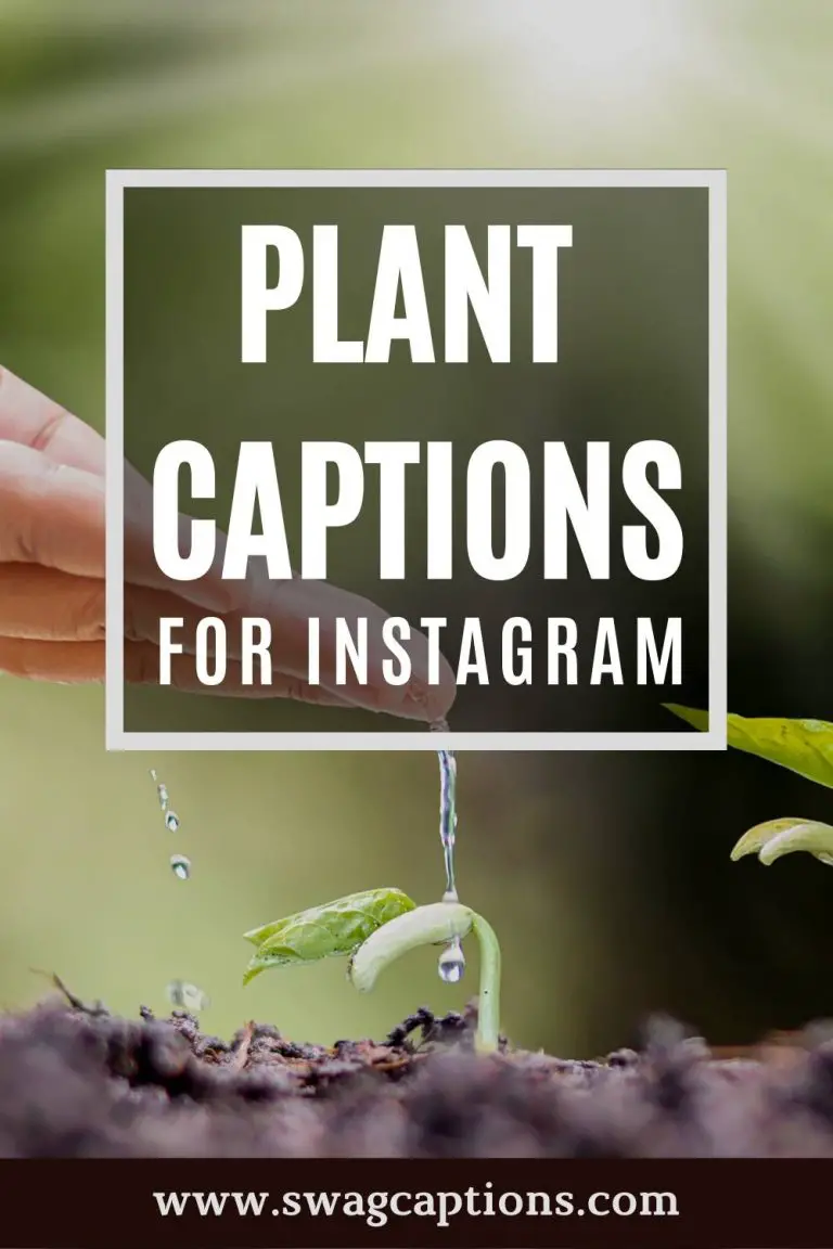 120+ Best Plant Captions And Quotes For Instagram In 2024