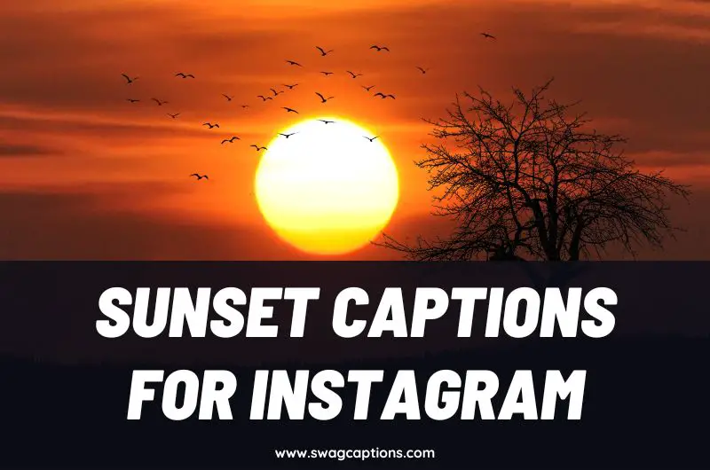 Sunset Captions and Quotes for Instagram
