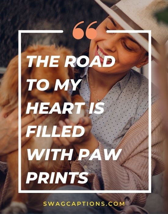 The road to my heart is filled with paw prints