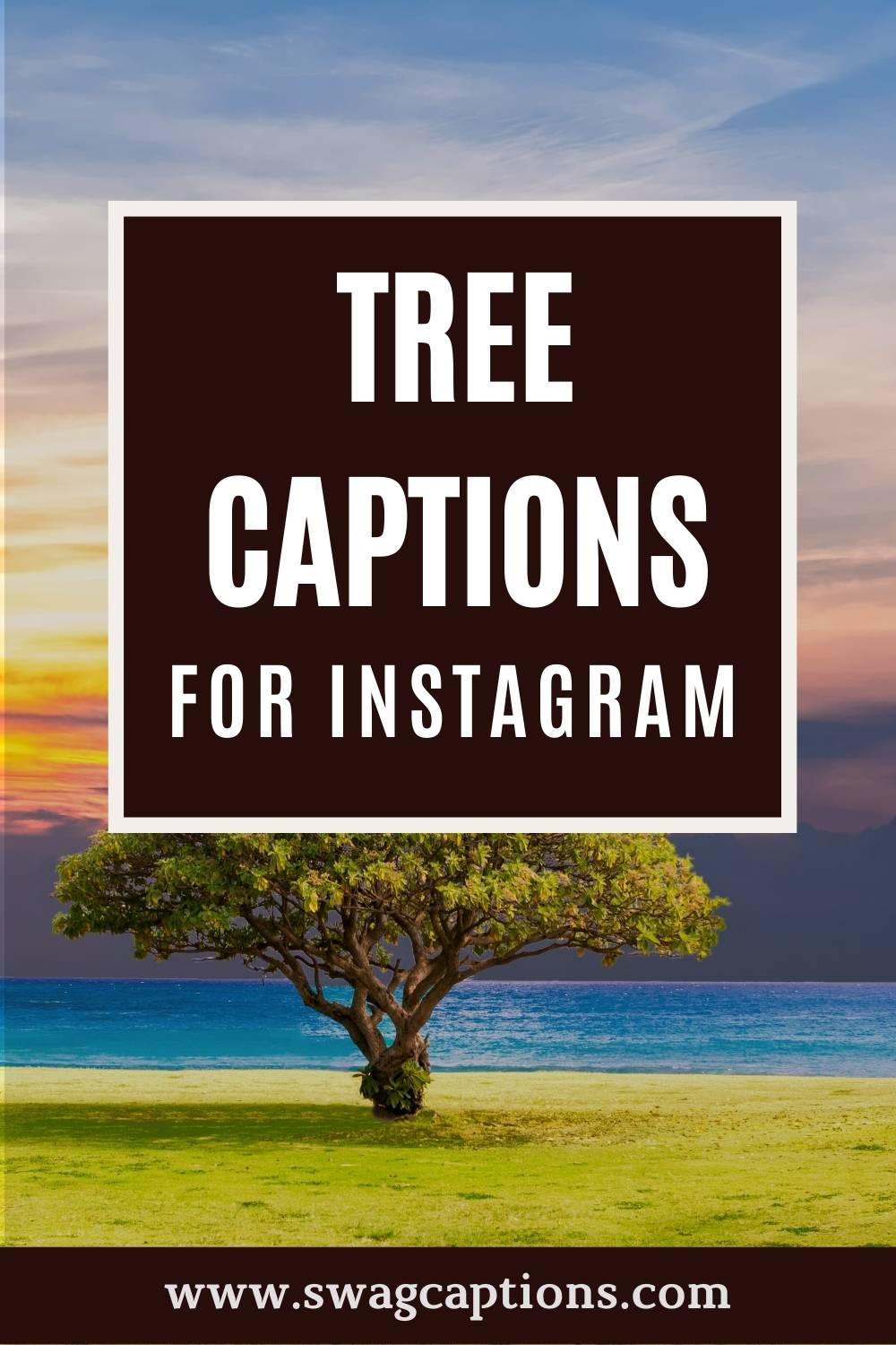 Tree Captions For Instagram