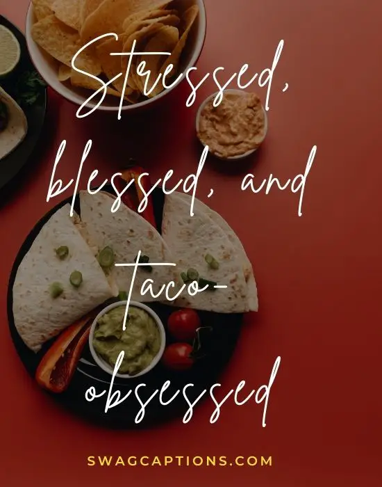 Best Taco Captions and quotes for Instagram