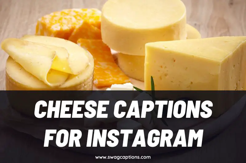 Cheese Captions and Quotes for Instagram