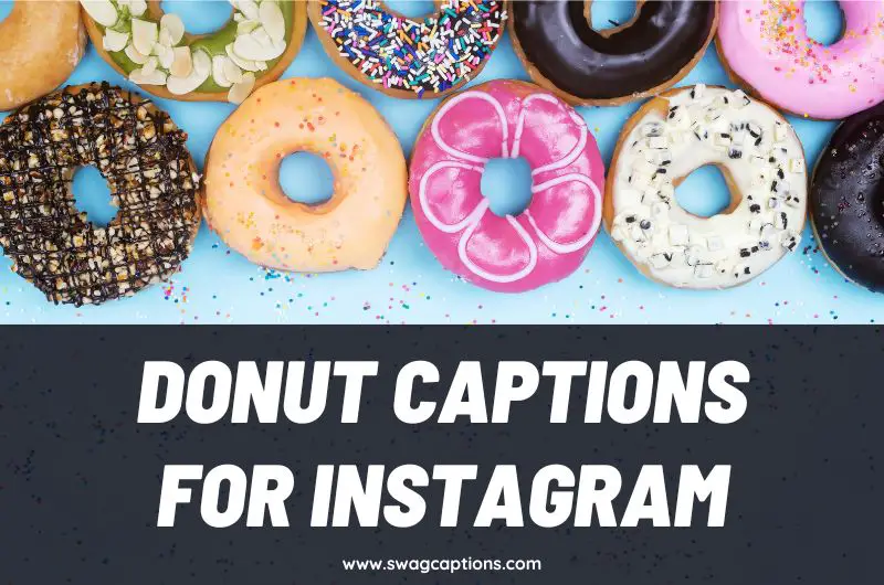 Donut Captions and Quotes for Instagram