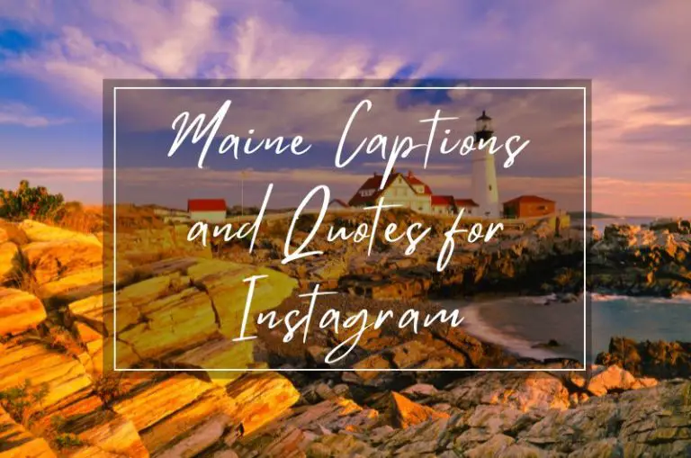 Maine captions and quotes for Instagram