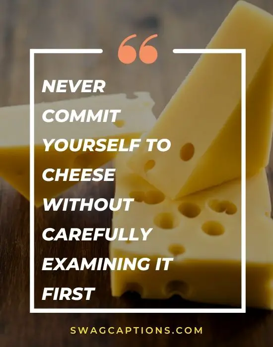 Never commit yourself to cheese without carefully examining it first