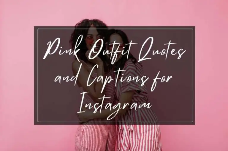 Pink dress Captions and Quotes for Instagram.jpg