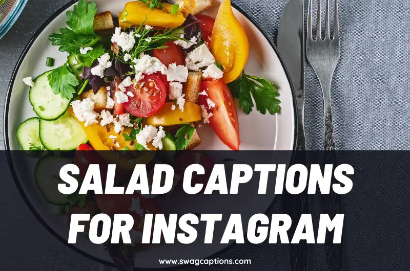 Salad Captions and Quotes for Instagram