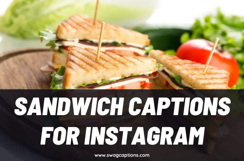 Sandwich Captions and Quotes for Instagram