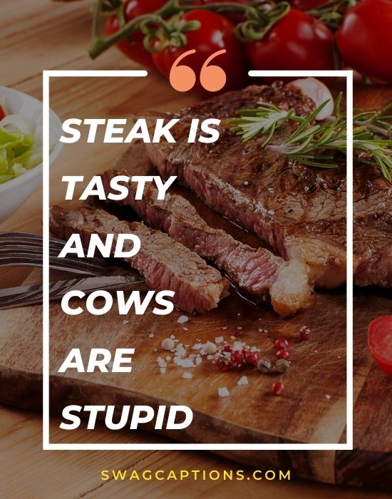 Steak is tasty and cows are stupid