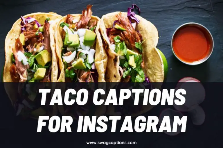 Taco Captions and Quotes for Instagram