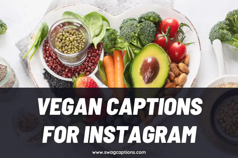 Vegan Captions and Quotes for Instagram