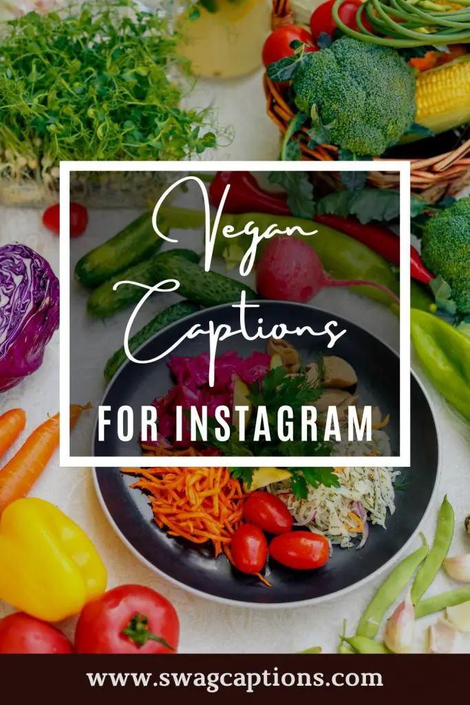 Vegan Captions for Instagram