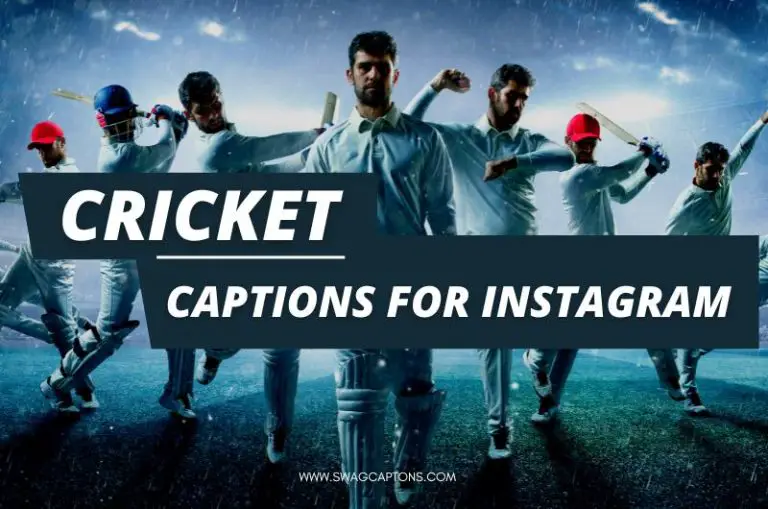 Best Cricket Captions And Quotes For Instagram Pics In