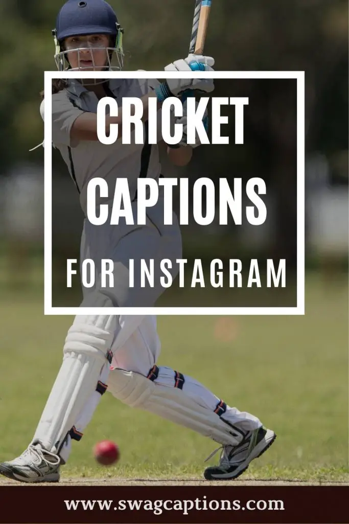 cricket captions for instagram
