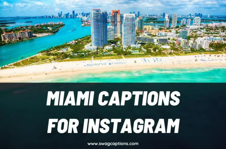 Miami Captions & Quotes For Instagram