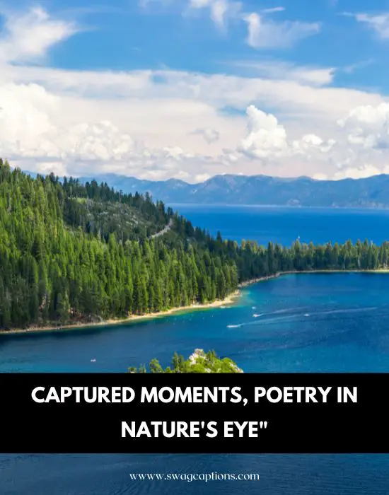 Captured moments, poetry in nature's eye"