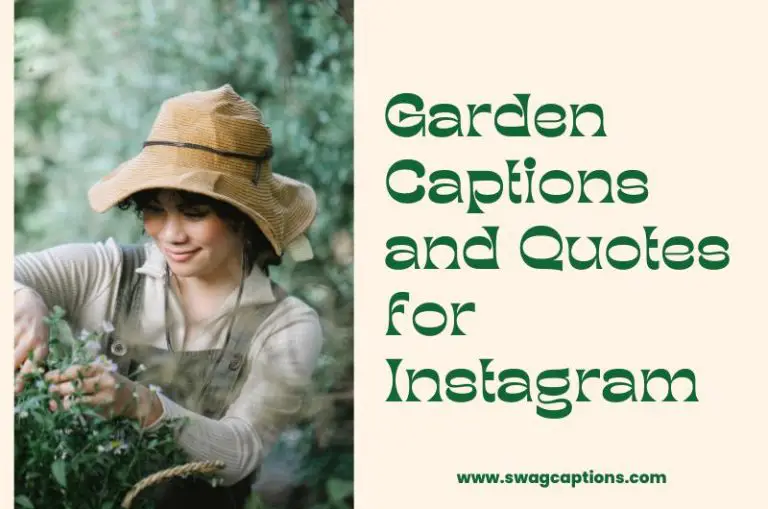 garden quotes and captions for Instagram