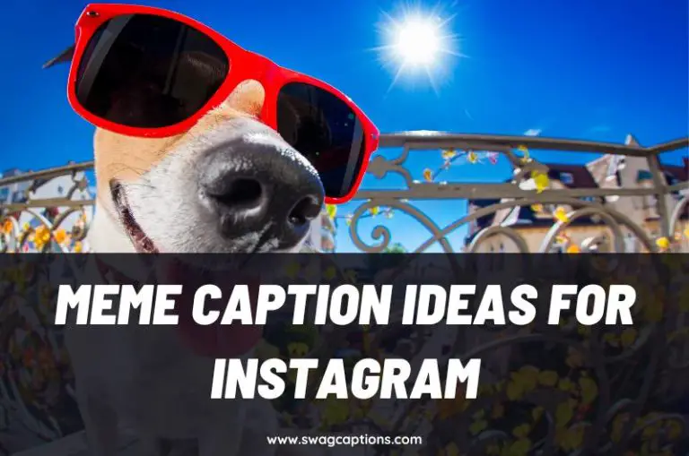 225+ Best Meme Captions For Instagram (Funny, Clever, Short)