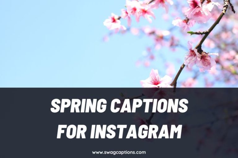 Spring Captions and Quotes for Instagram