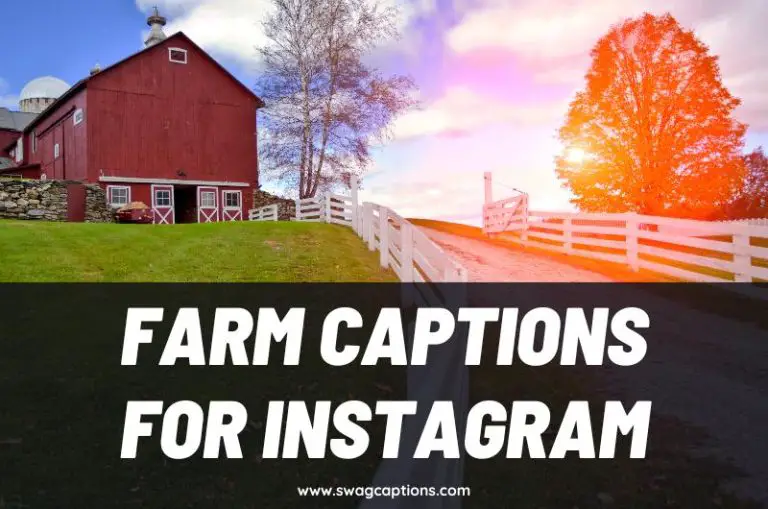 Farm Captions and Quotes for Instagram