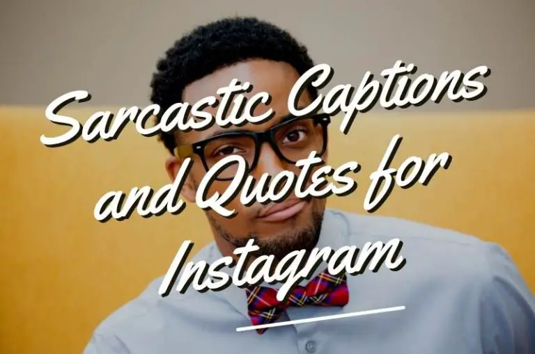 sarcastic captions and quotes for Instagram