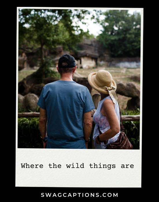 zoo captions and quotes for Instagram