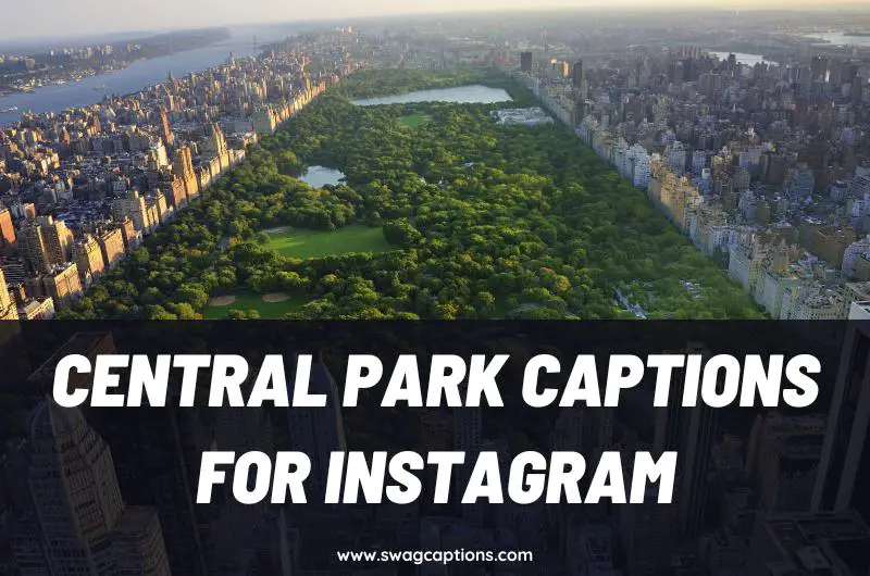 central park captions and quotes for Instagram