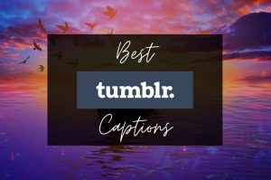 BEST Crush Captions And Quotes For Instagram Pics In