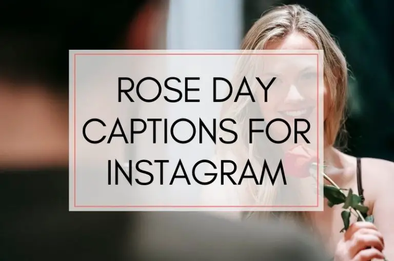 Rose Day Captions and Quotes For Instagram