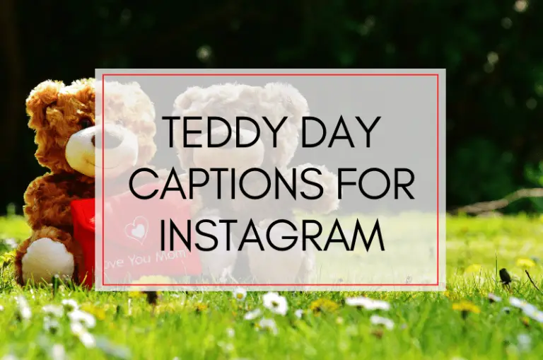 Teddy Day Captions and Quotes for Instagram