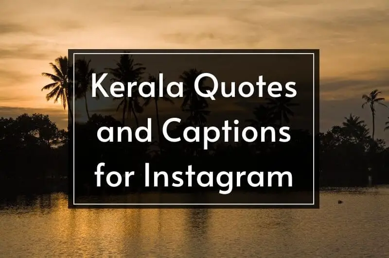 trip kerala quotes