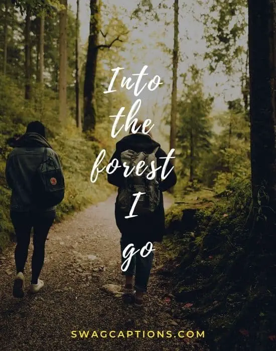 Into the forest I go