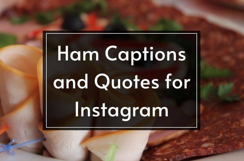 ham captions and quotes for Instagram