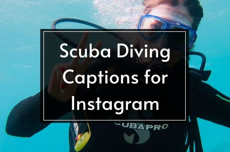 BEST Scuba Diving Captions & Quotes For Instagram In 2023