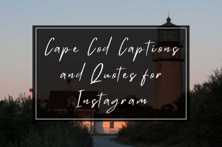 Cape Cod Captions And Quotes For Instagram