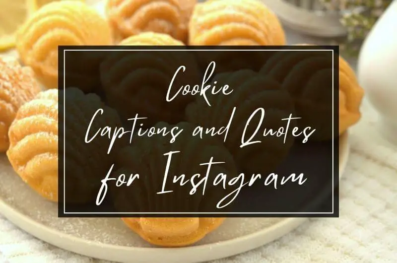 Cookie Quotes And Captions For Instagram
